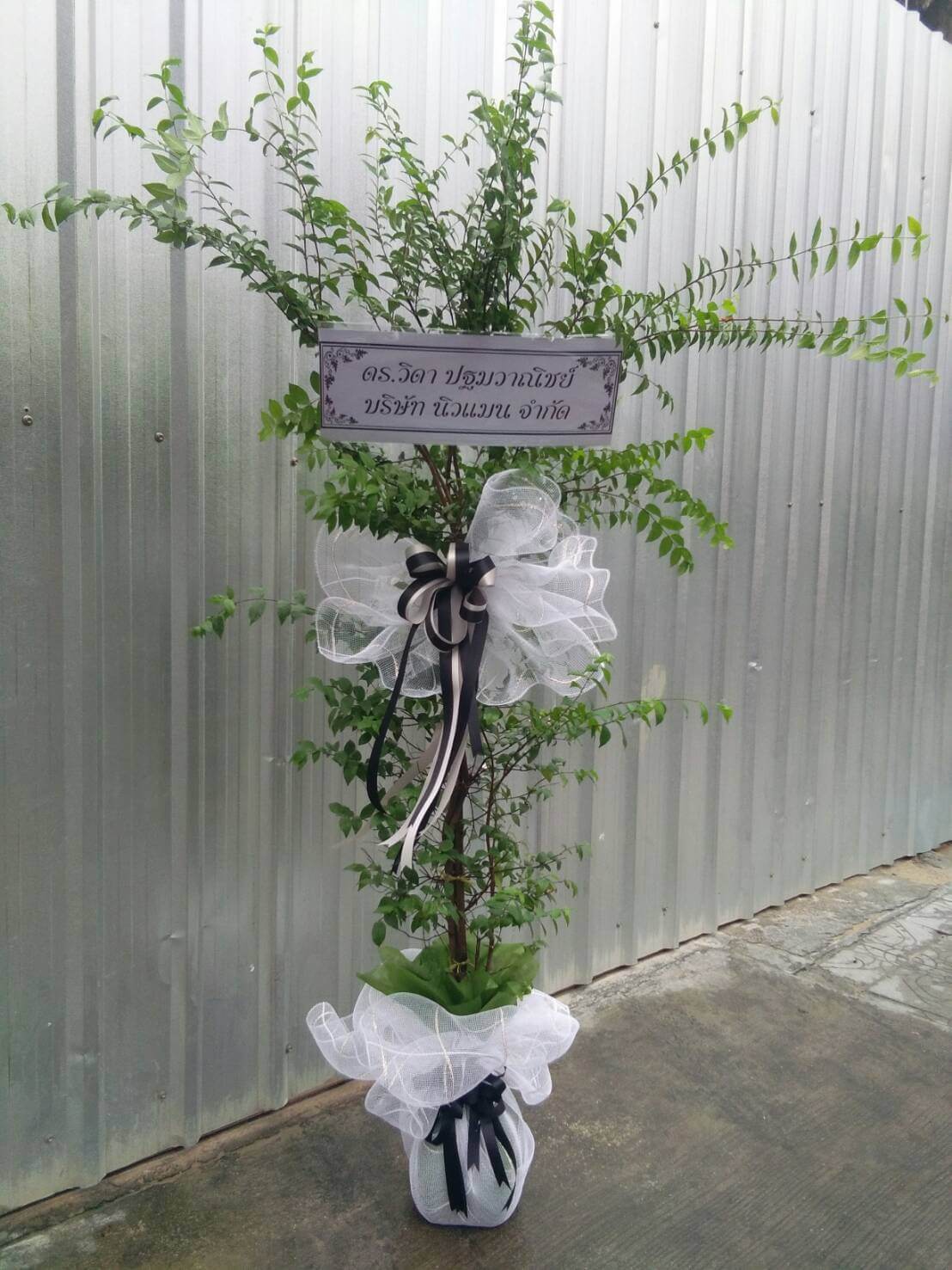 พวงหรีดต้นไม้  WRT-3