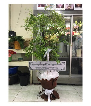 พวงหรีดต้นไม้ WRT-4
